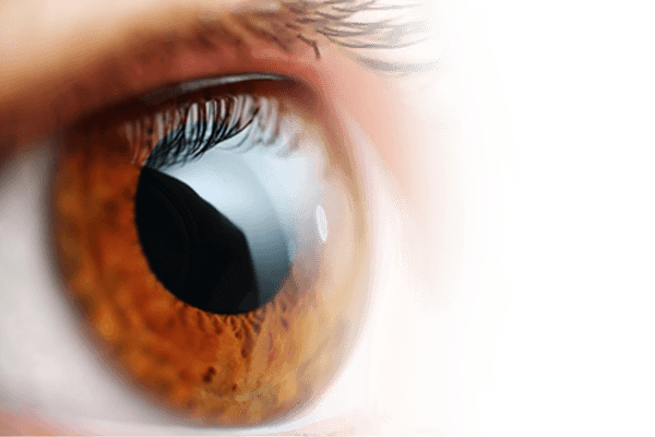 Sensitive Eye